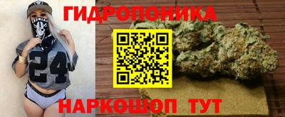 a pvp Лесосибирск
