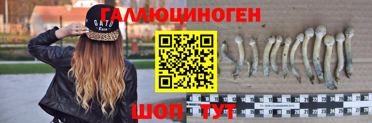 Галлюциногенные грибы ЛСД Вятские Поляны