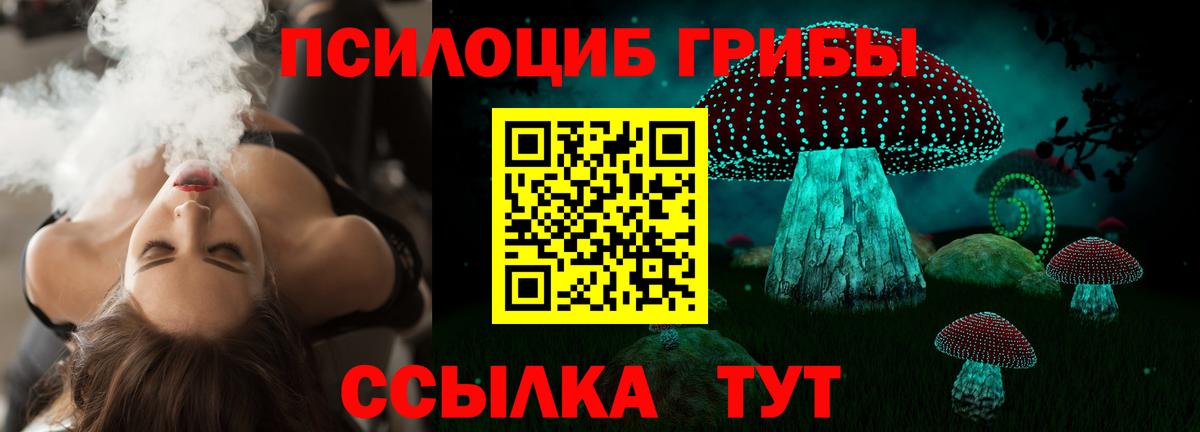 Вятские Поляны  купить наркотик  Вход с VPN  Псилоцибиновые грибы ЛСД 